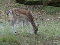 bd_DSC00322 (2)